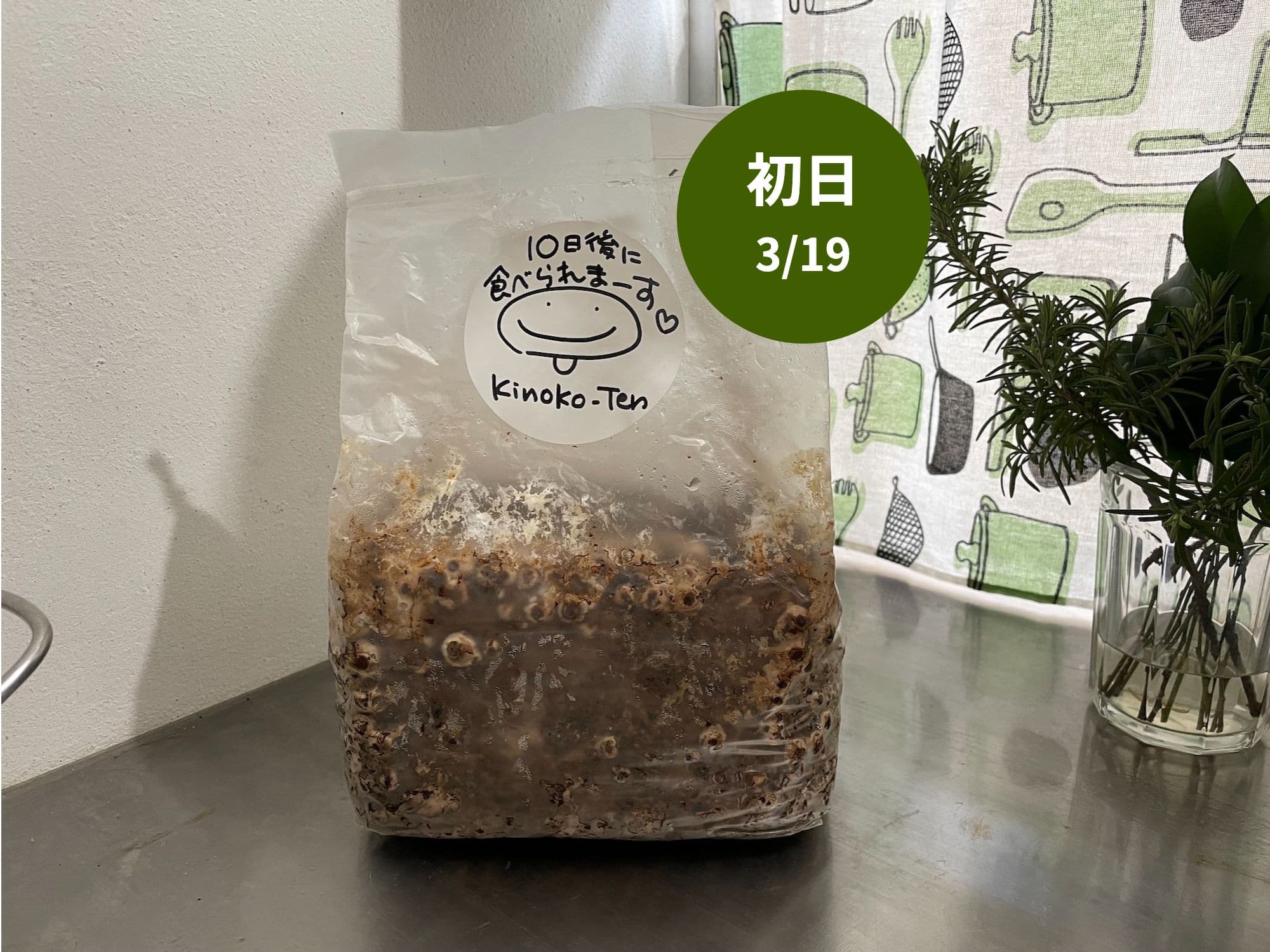 枇杷の葉茶