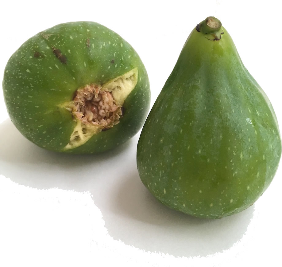 無農薬 有機肥料栽培完熟いちじくザキング 無農薬 有機肥料栽培完熟いちじくザキング