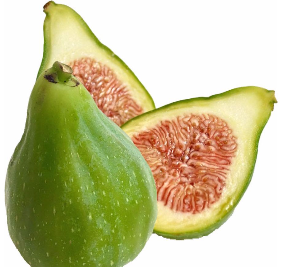 無農薬 有機肥料栽培完熟いちじくザキング 無農薬 有機肥料栽培完熟いちじくザキング