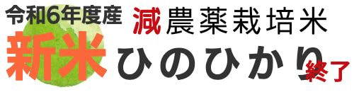 米ひのひかり