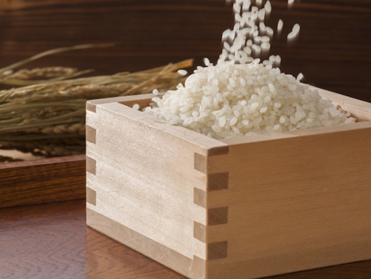 お米収穫