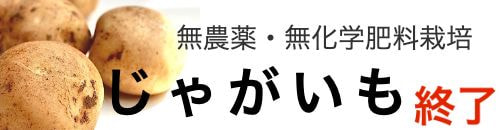 じゃがいも