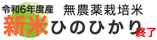 米ひのひかり