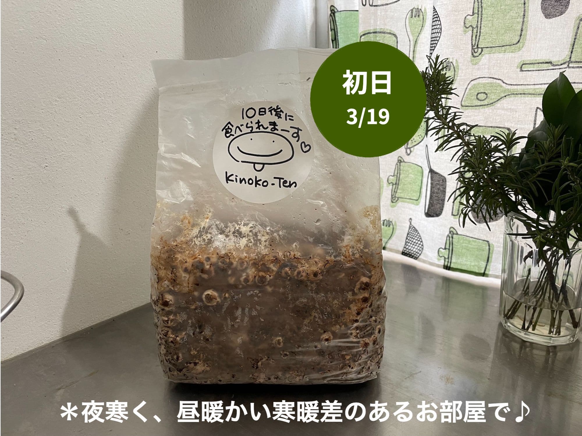 枇杷の葉茶