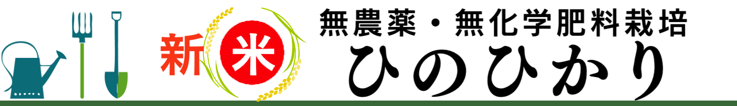 無農薬無化学肥料栽培ひのひかり 